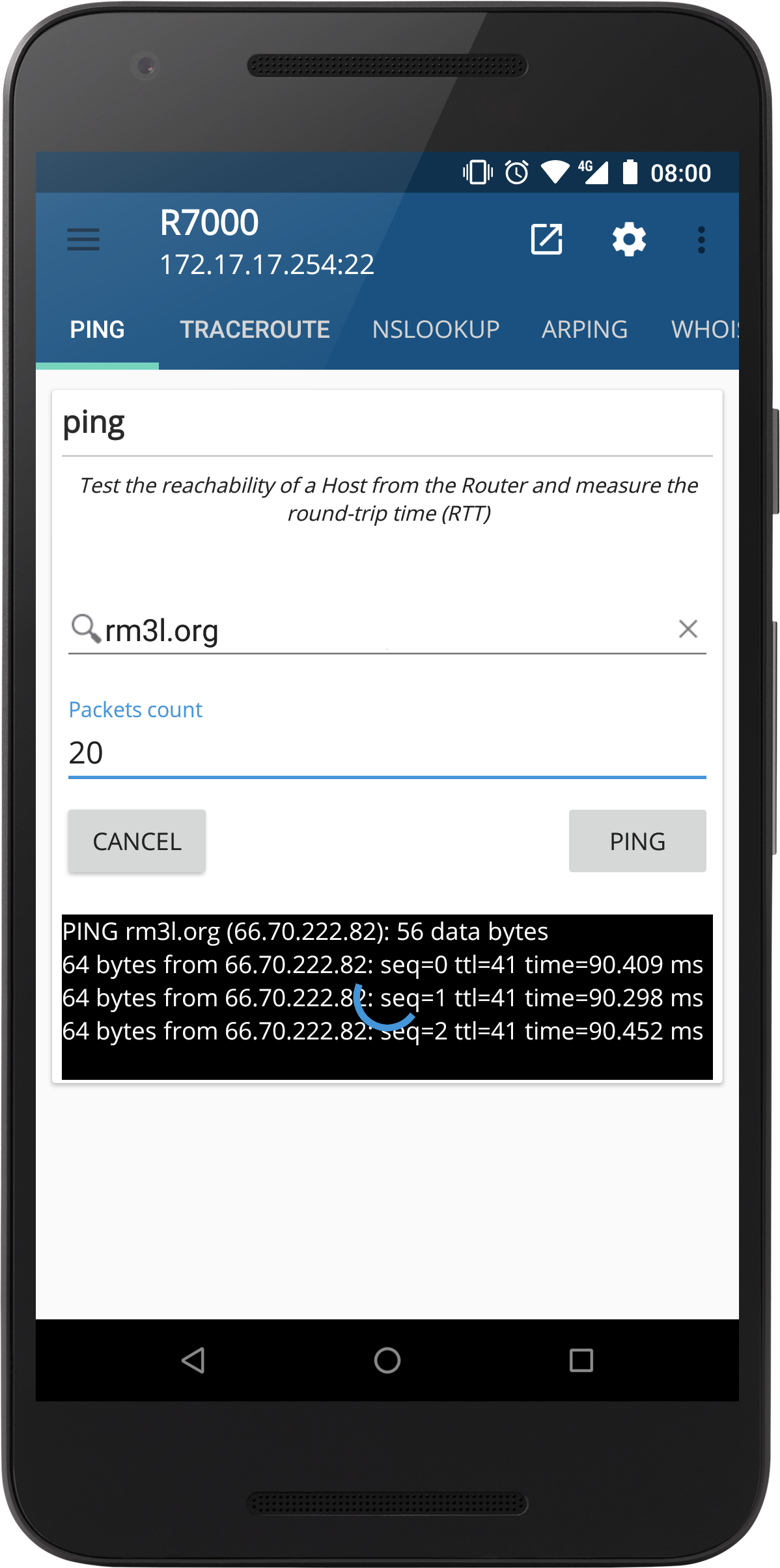 Network Ping Tool